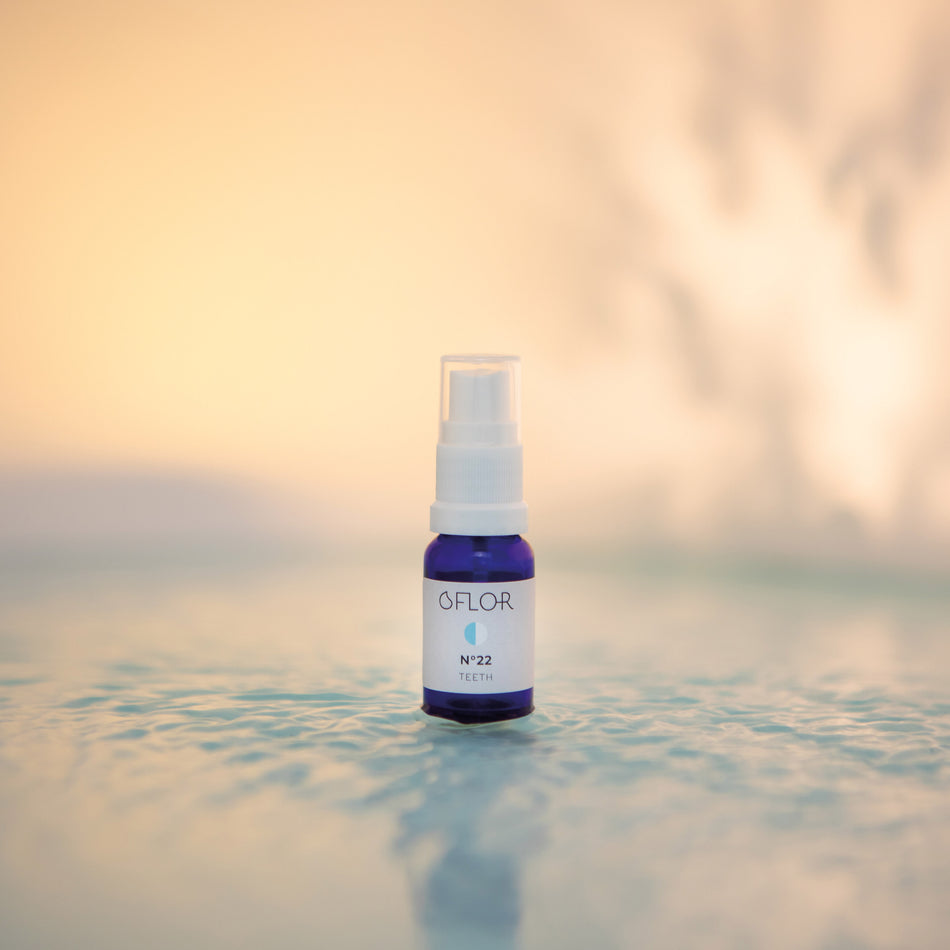 O'Flor n°22 Teeth
